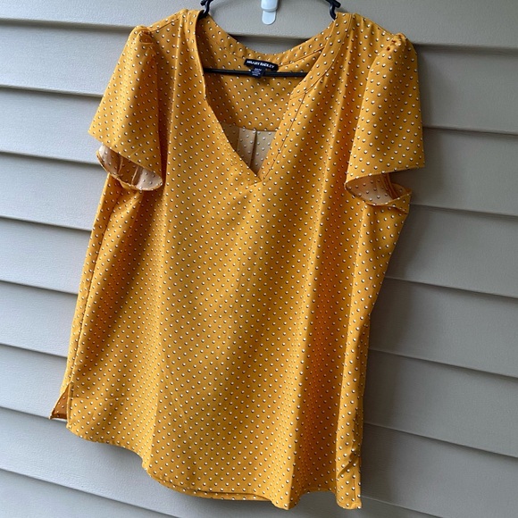 Gently Worn Hilary Radley Cool, Soft, Lightweight Short Sleeve Top w/Polkadots - Picture 7 of 16